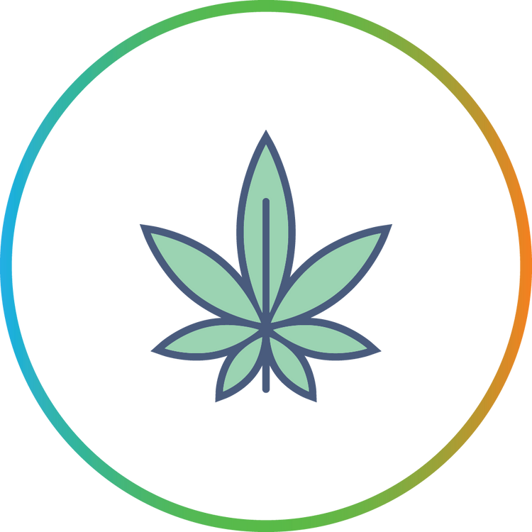 Dried Herb Vaporizers